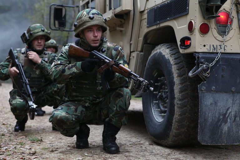 Vers une armée européenne : mythe ou horizon réaliste ?